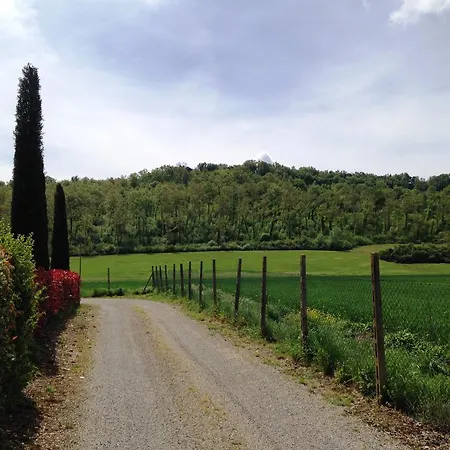 Steccaia Holiday *